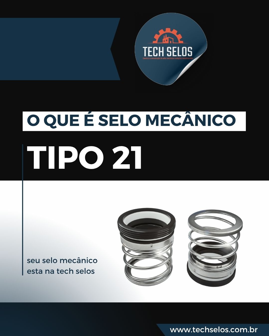 o que é selo mecanico tipo 21